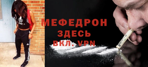 тгк Дмитриев
