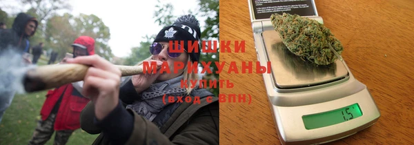 мдпв Пестово