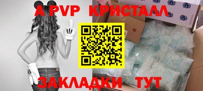 прущие грибы Тверь