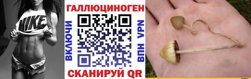 Псилоцибиновые грибы мухоморы  МЕГА ONION  Печора 