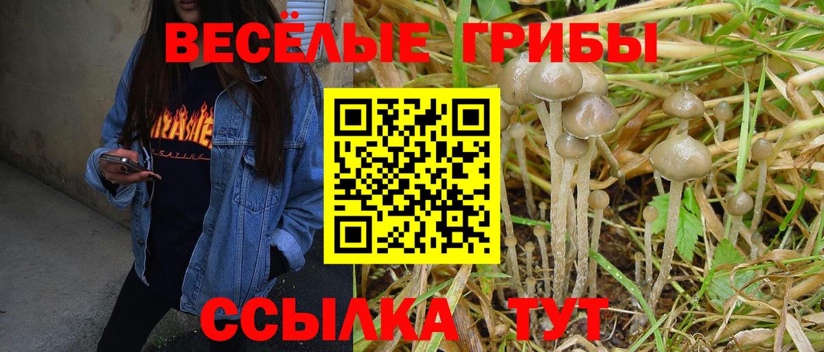 цены   Псилоцибиновые грибы Psilocybe  Вход с VPN  Галлюциногенные грибы ЛСД  Печора 