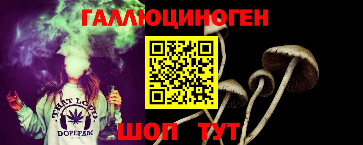 Псилоцибиновые грибы Magic Shrooms Печора